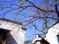 -塔川景区