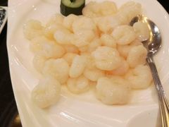 水晶湖虾仁-新南华大酒店(广中店)