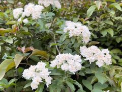 -府河摄影公园