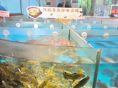 -耕渔小院·湖南鱼鲜(望城店)