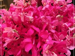 -四季酒店·行政酒廊