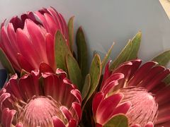 -双季花艺园艺市场(浦东店)