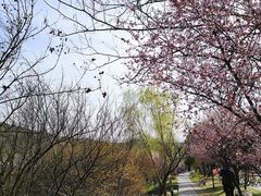 -石塘人家