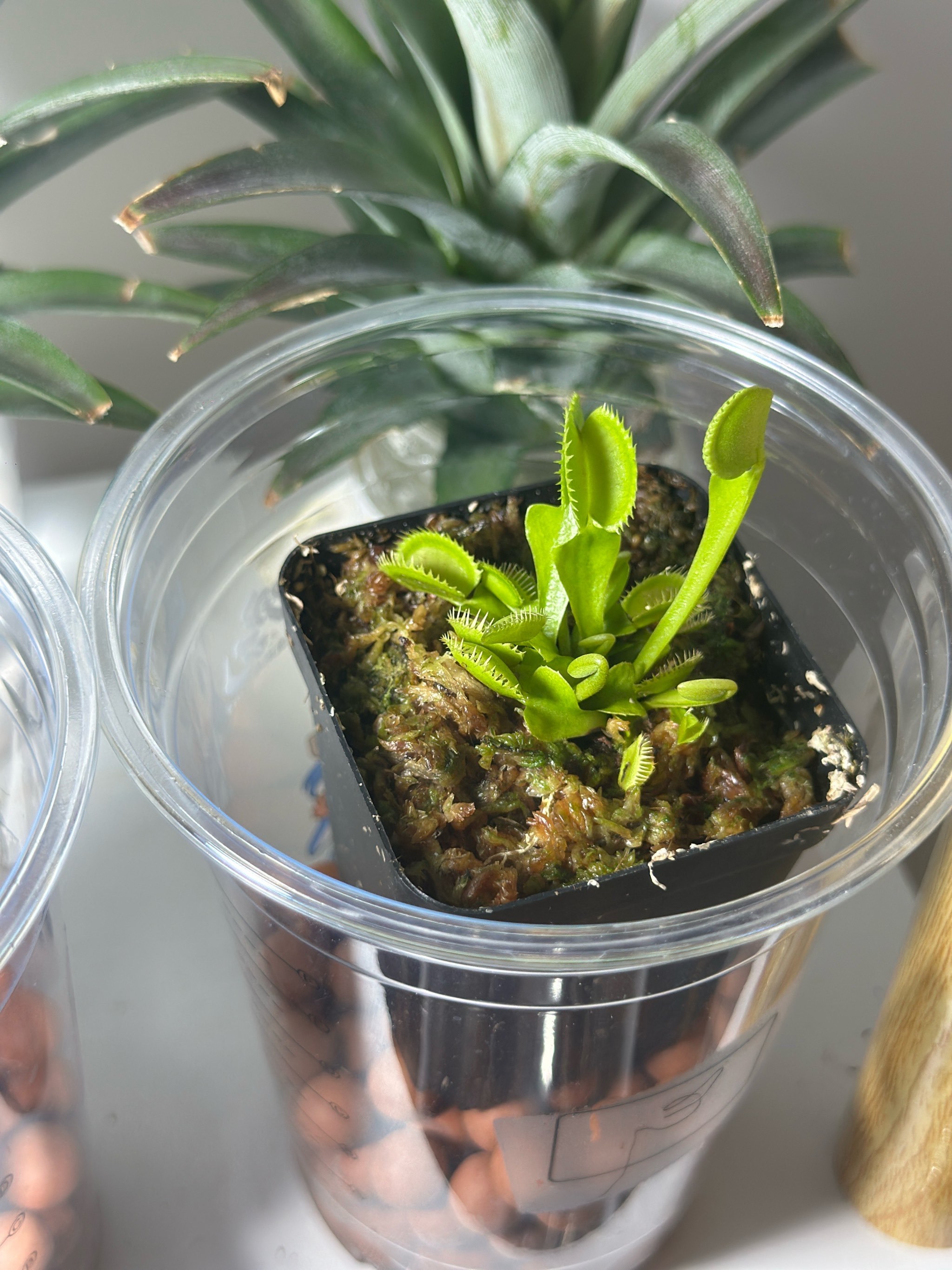 五一节长沙等地7日出游路线