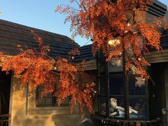 -Blue Concept Cafe&Farm·關於藍