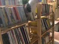 -小时光咖啡馆(开森度假森林店)