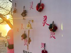 -平湖九龙山旅游度假区