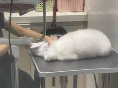 -宠颐生动物医院·小陆分院