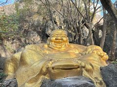 -WeLope紫金山探险公园