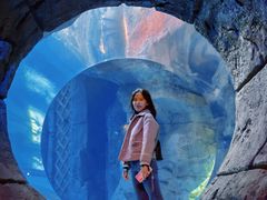 -哈尔滨波塞冬海底世界