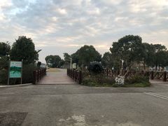 -荷塘月色湿地公园·向阳花洲