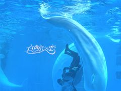 -海合安成都极地海洋公园
