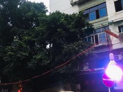 -肥龙火锅(南坪店)