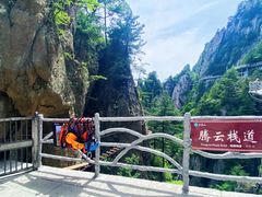 -老君山风景名胜区