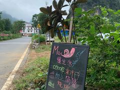 -村上春树