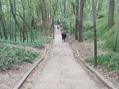 -宝石山