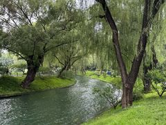 -皇家御河游(紫御湾码头)