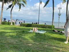 -深圳湾公园(南山区)