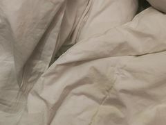 -维也纳国际酒店·上海虹桥火车站国家会展中心店