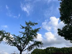 -东华大学第一食堂(松江校区店)