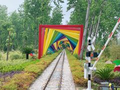 -合肥滨湖国家森林公园