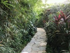 -龙山酒店温泉