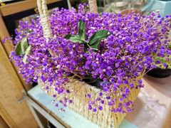 -双季花艺园艺市场(浦东店)