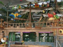 -南宫五洲植物乐园