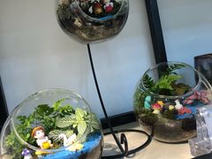 -拾光陶吧