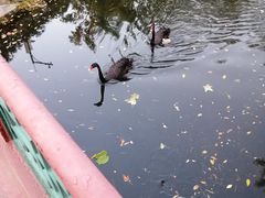 -梦旅人咖啡馆快餐(成府路北河沿小区店)