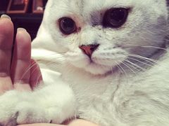 iphone_upload_pic-MIKAKU(万达广场上海宝山店)