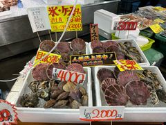 -南纪白浜Toretore市场