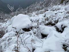 -九峰山