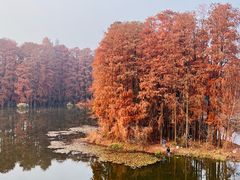 -东湖生态旅游风景区