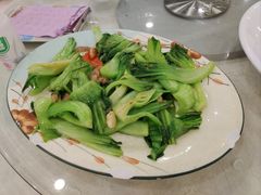 -姚林轩