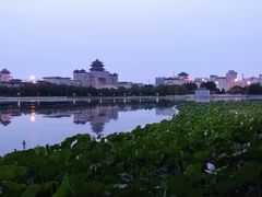 -莲花池公园