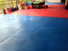 -陈中跆拳道(中关村馆)