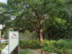 -老门东历史文化街区