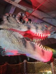 -恐龙探索乐园(磁器口店)