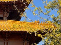 -大报恩寺遗址景区