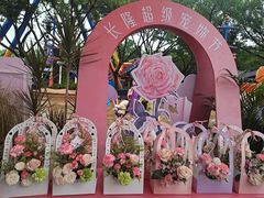 -广州长隆欢乐世界