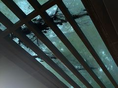 -风云岭森林公园