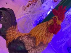 -山河屯铁锅炖鲜鹅·东北菜(开发区一店)