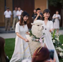 -Lisamoon礼慕纱婚纱礼服高级定制