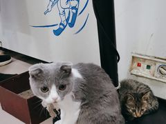 -清真·白家牛肉罩火烧老店(育才街店)