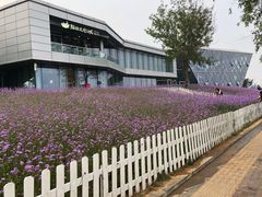 -秦皇岛阿尔卡迪亚滨海度假酒店