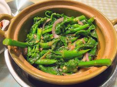 啫啫芥蓝-老廣食堂(区庄店)