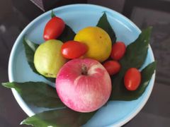 -重庆长寿碧桂园凤悦凤凰酒店