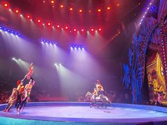 -珠海横琴长隆《卡卡虎奇遇记》