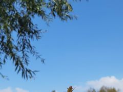 -呈贡滇池生态湿地公园